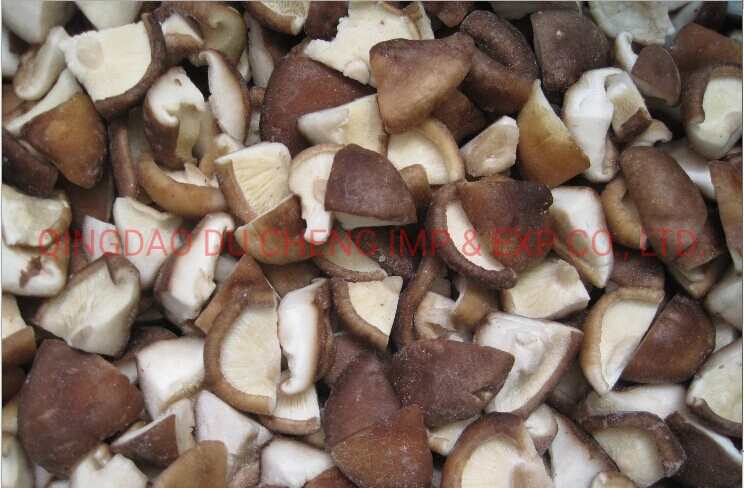 Fresh Organic Frozen Lentinus Edodes, Shiitake Mushroom with Wholesale Price