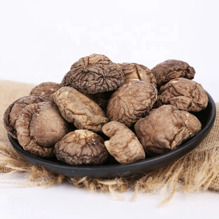 Dried Shiitake Mushrooms Organic Dried Food Shiitake Mushroom