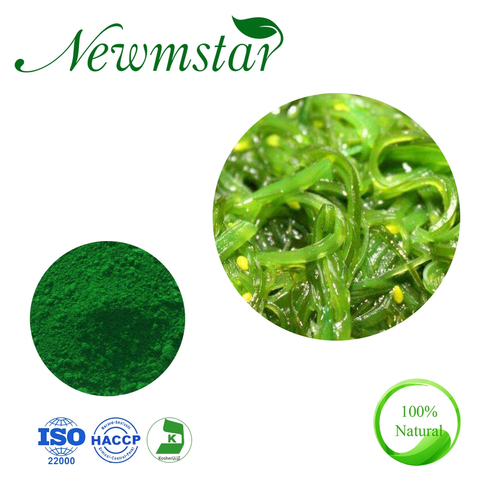 Natural Plant Extract Spirulina Extract Spirulina Powder