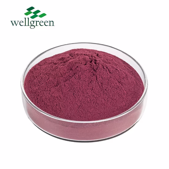 Pó de extrato de planta de flor de hibisco orgânico natural seco