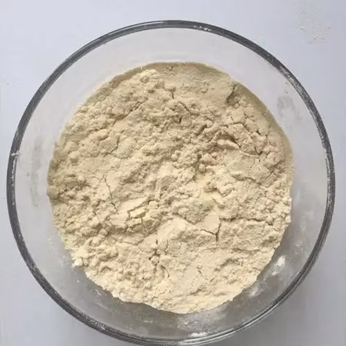 Proteína Vegana Isolada de Proteína de Grão-de-bico em Pó de Proteína Vegetal Orgânica em Pó