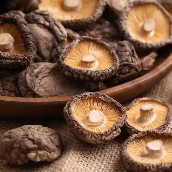 Fatia Griflola Frondosa Cogumelo Maitake Seco Orgânico